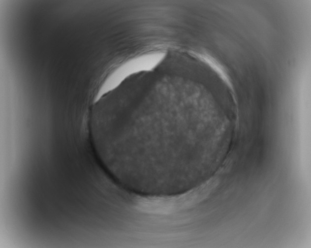 X0000095910009200802081102