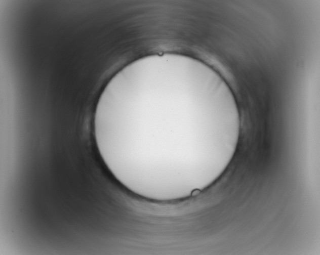 X0000095910010200802081102