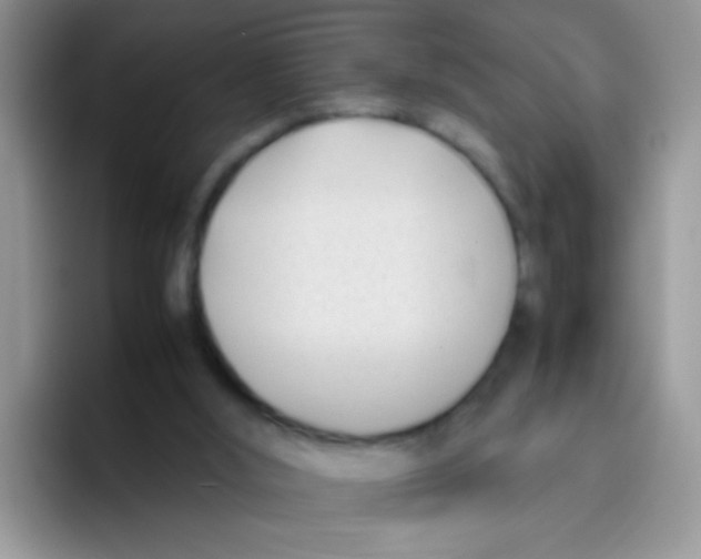 X0000095910012200802081102