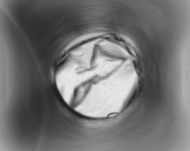 X0000095910013200802081102