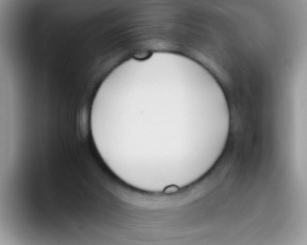 X0000095910014200802081102