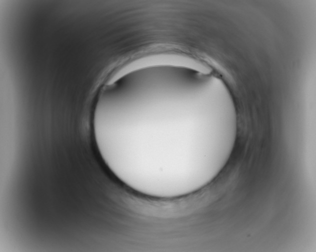 X0000095910015200802081102