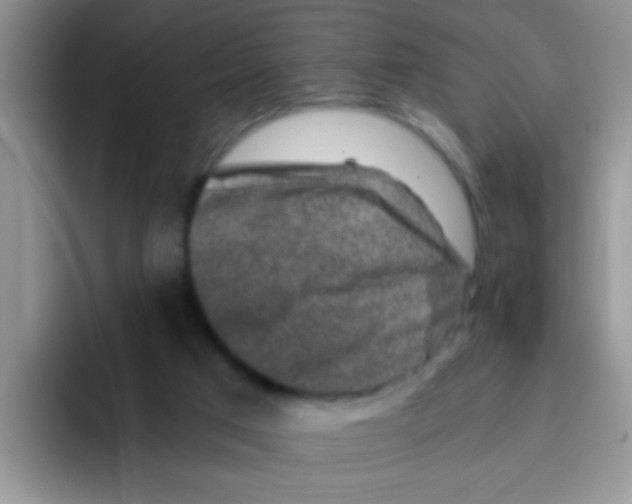 X0000095910017200802081102