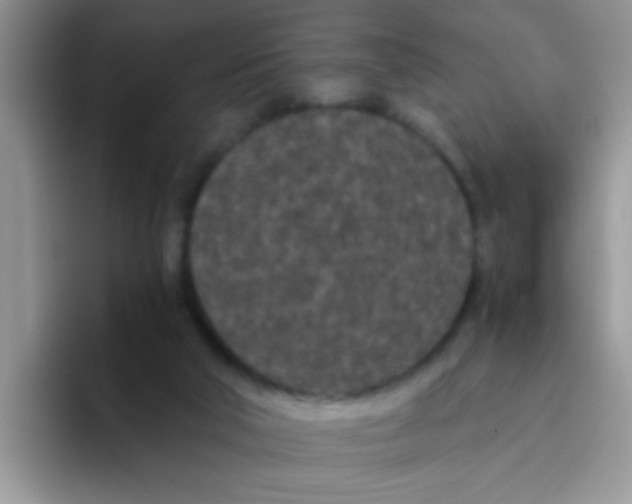 X0000095910018200802081102