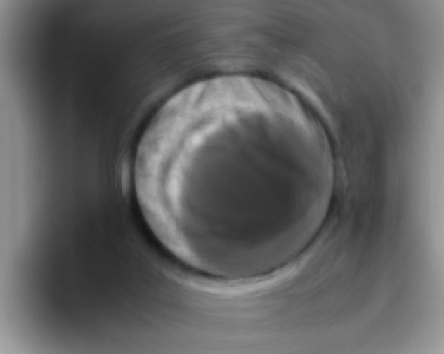 X0000095910019200802081102