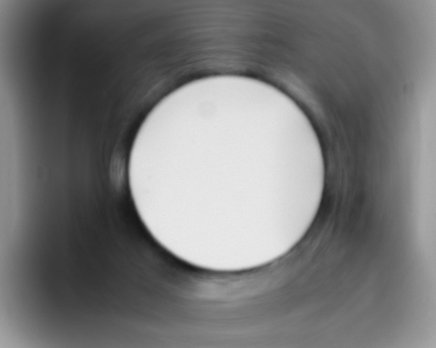 X0000095910021200802081102