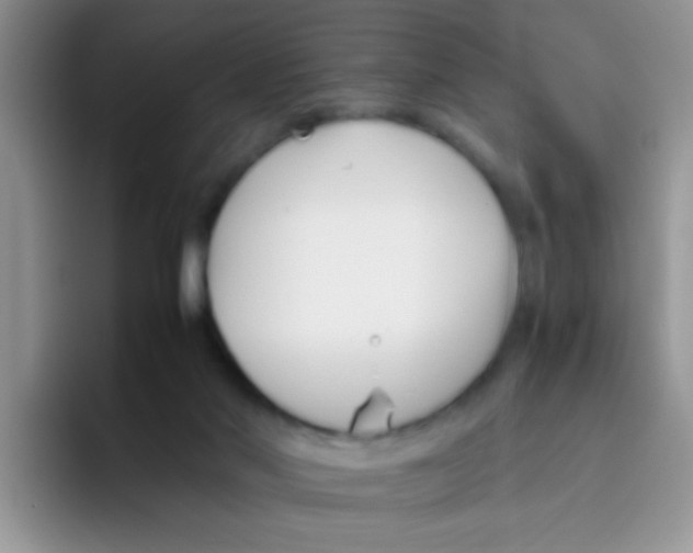 X0000095910022200802081102