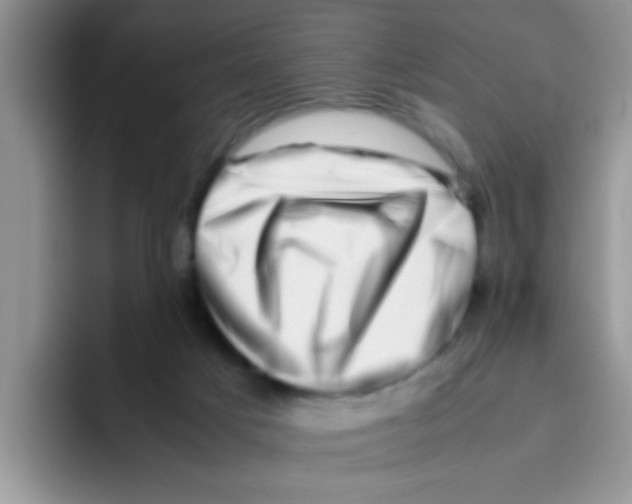 X0000095910025200802081102