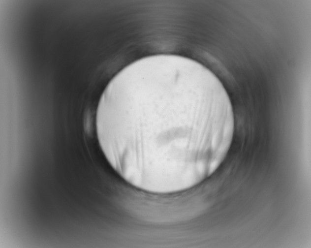 X0000095910026200802081102