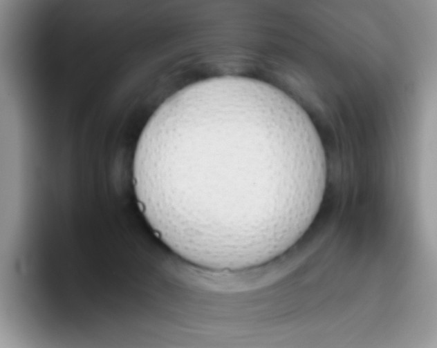 X0000095910030200802081102