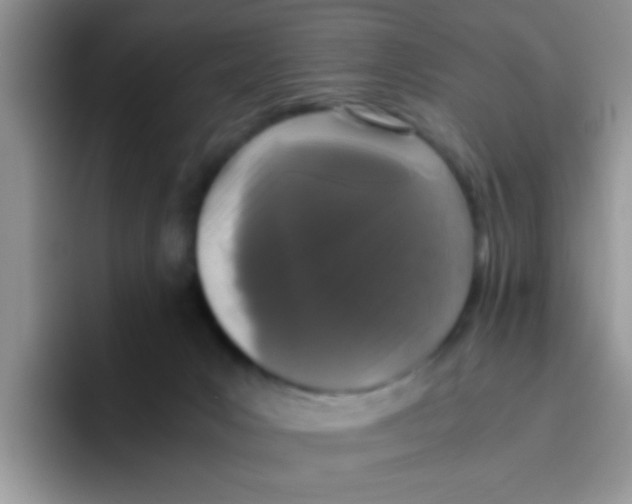 X0000095910031200802081102