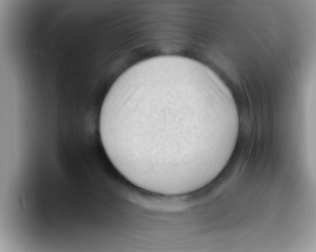 X0000095910032200802081102