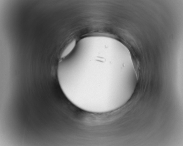 X0000095910033200802081102