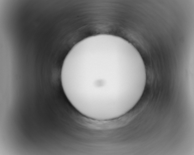 X0000095910034200802081102