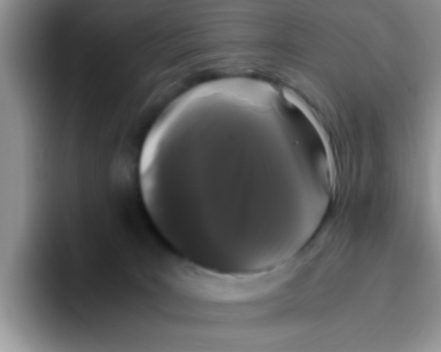 X0000095910035200802081102