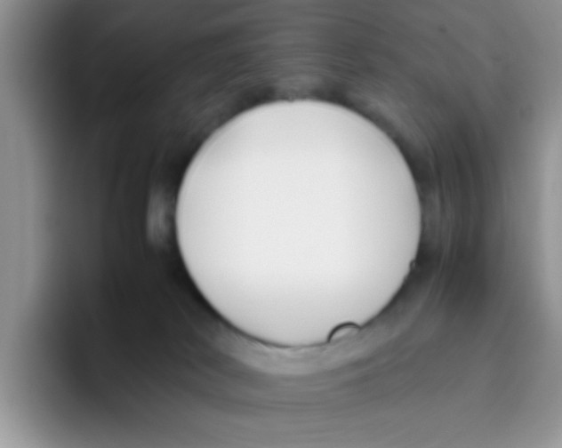 X0000095910038200802081102