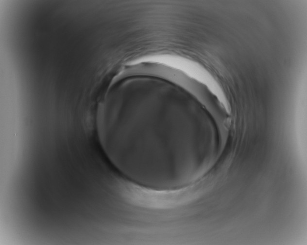 X0000095910039200802081102