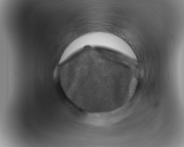 X0000095910041200802081102