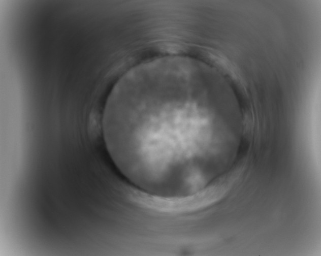 X0000095910043200802081102