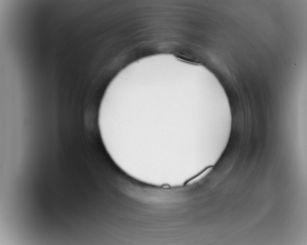 X0000095910044200802081102