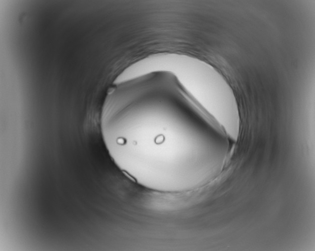 X0000095910045200802081102