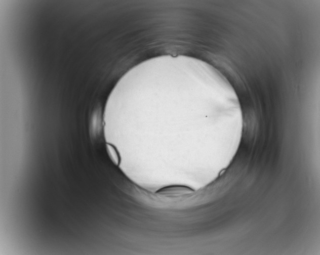 X0000095910046200802081102