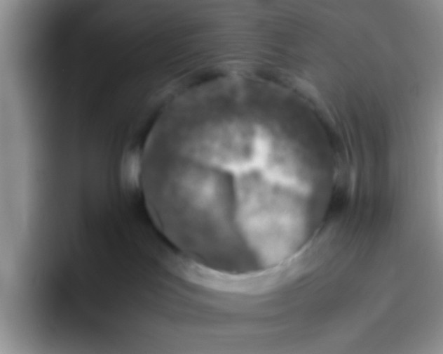 X0000095910047200802081102