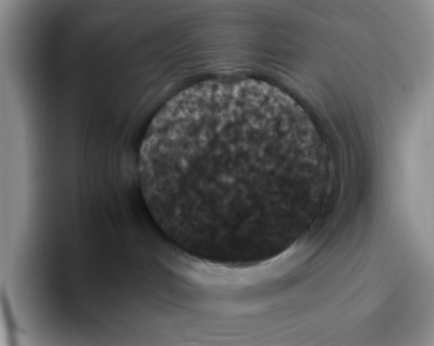 X0000095910048200802081102