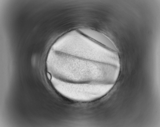 X0000095910049200802081101