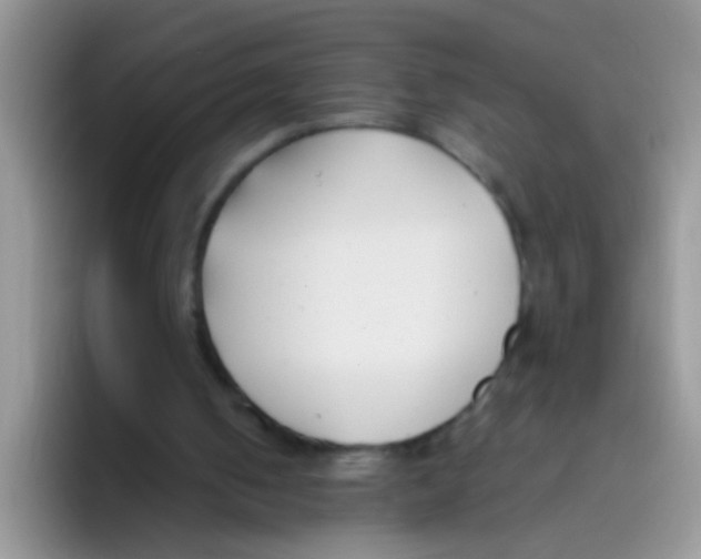 X0000095910050200802081101