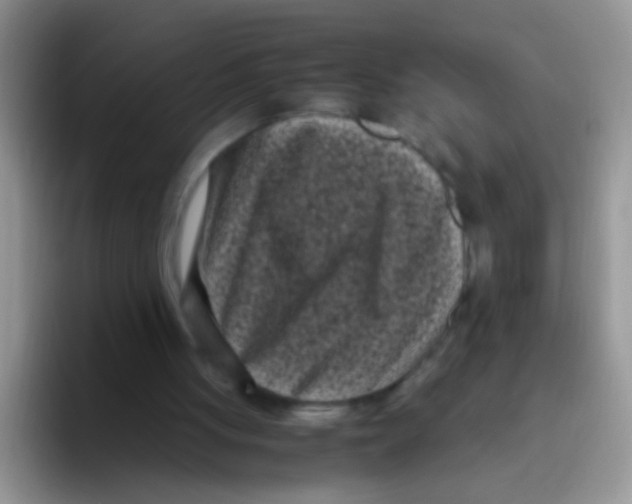 X0000095910051200802081101