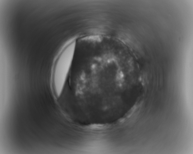 X0000095910052200802081101