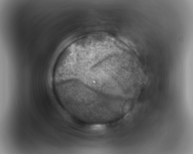 X0000095910053200802081101