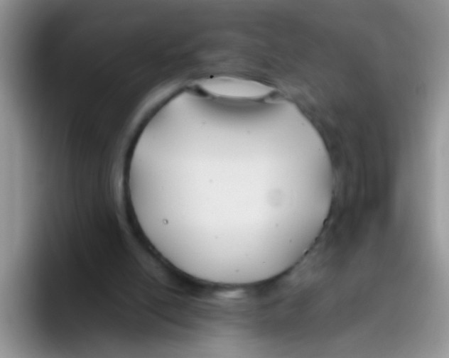 X0000095910054200802081101