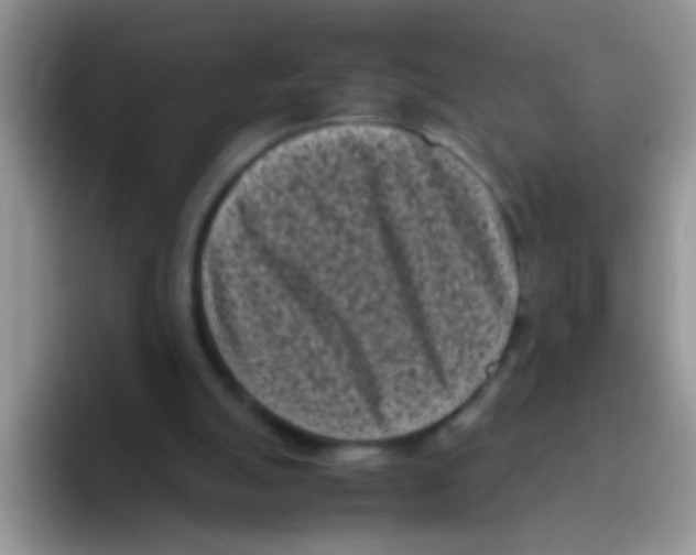 X0000095910055200802081101