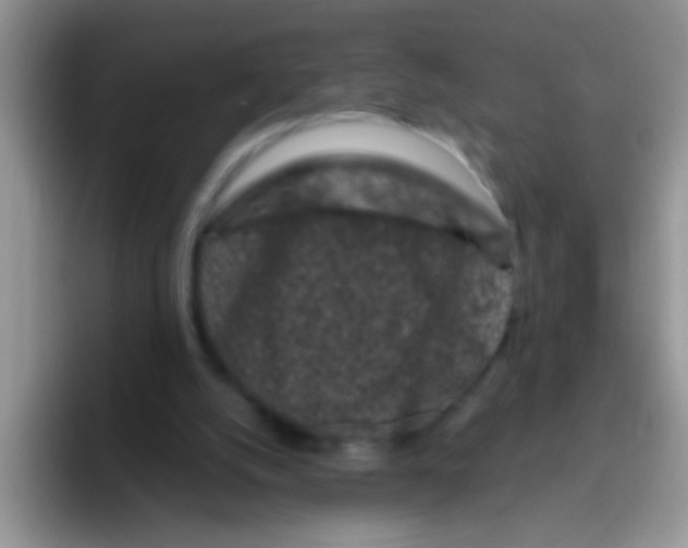 X0000095910056200802081101