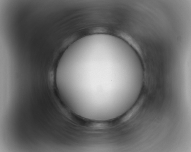 X0000095910057200802081101