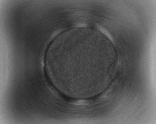 X0000095910059200802081101