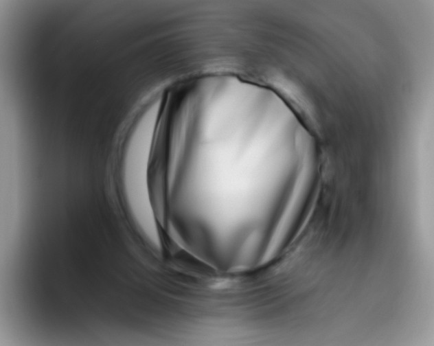 X0000095910060200802081101