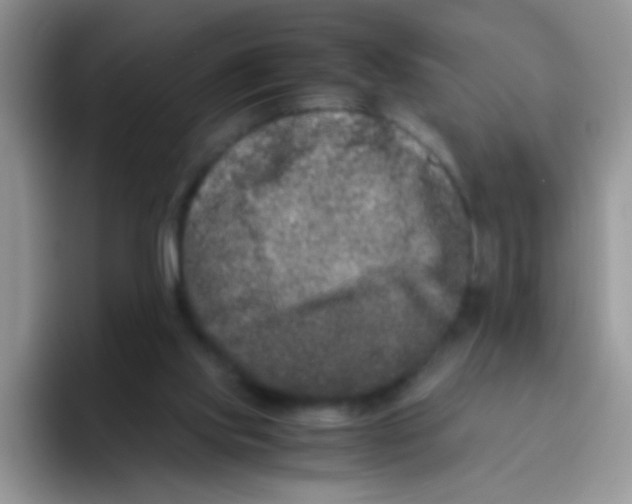 X0000095910061200802081101