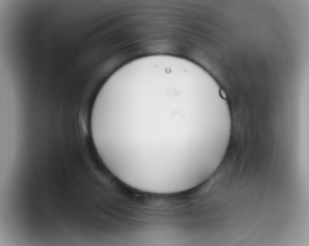 X0000095910062200802081101