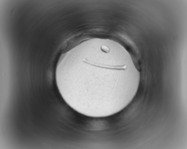 X0000095910063200802081101