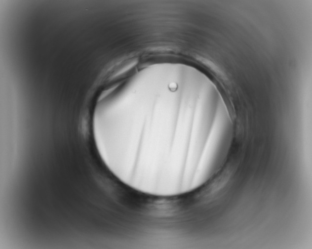 X0000095910064200802081101