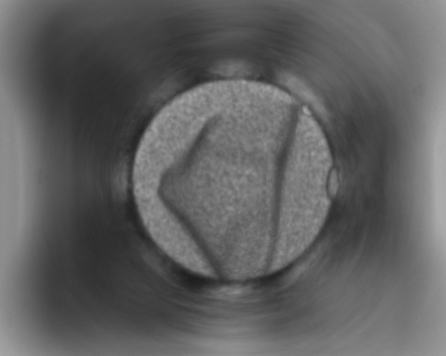 X0000095910065200802081101