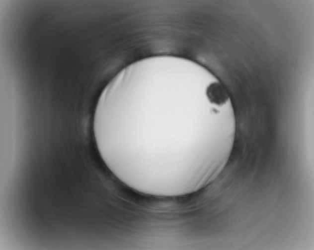 X0000095910066200802081101