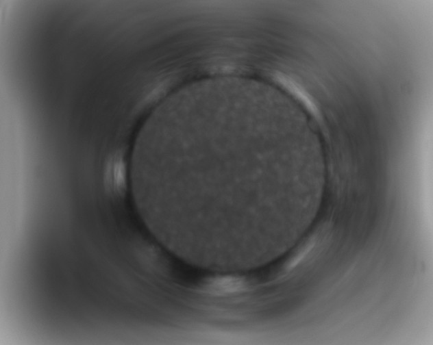 X0000095910067200802081101