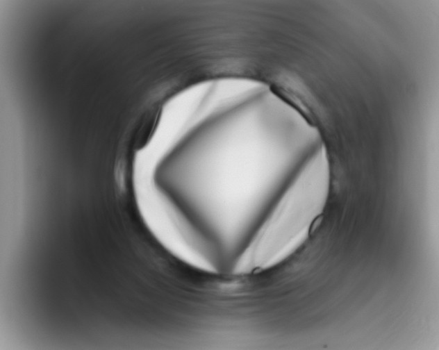 X0000095910068200802081101