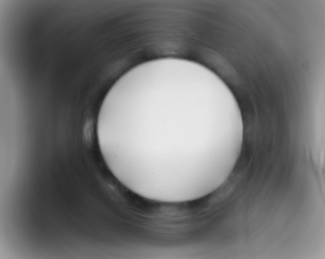 X0000095910070200802081101