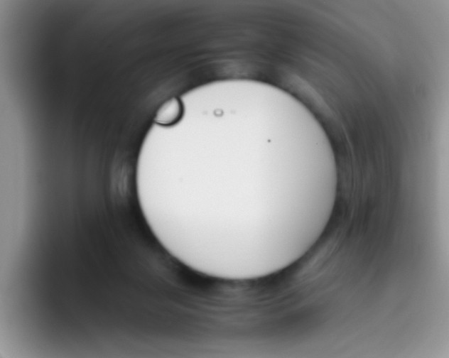 X0000095910071200802081101