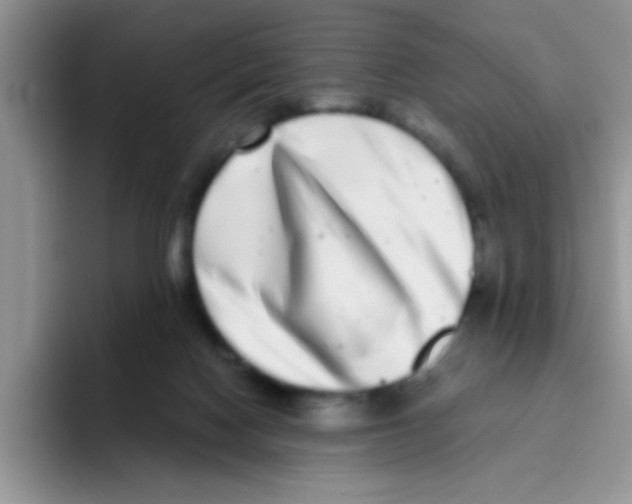 X0000095910074200802081101